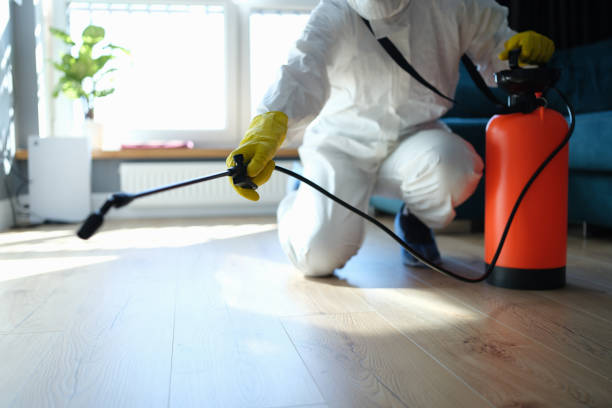 Best Affordable Pest Control Services  in Salyersville, KY