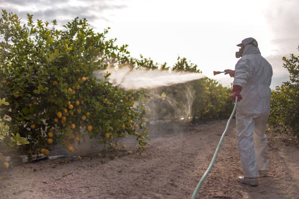 Best Best Pest Control Companies  in Salyersville, KY
