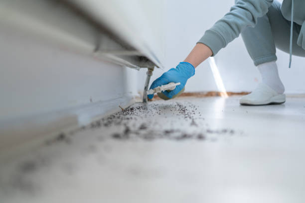 Best Pest Removal Services  in Salyersville, KY