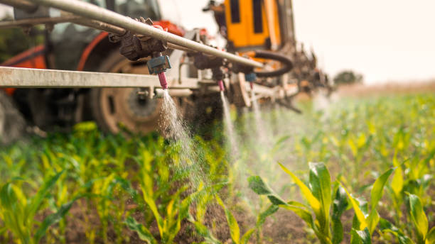 Best Best Pest Control Companies  in Salyersville, KY